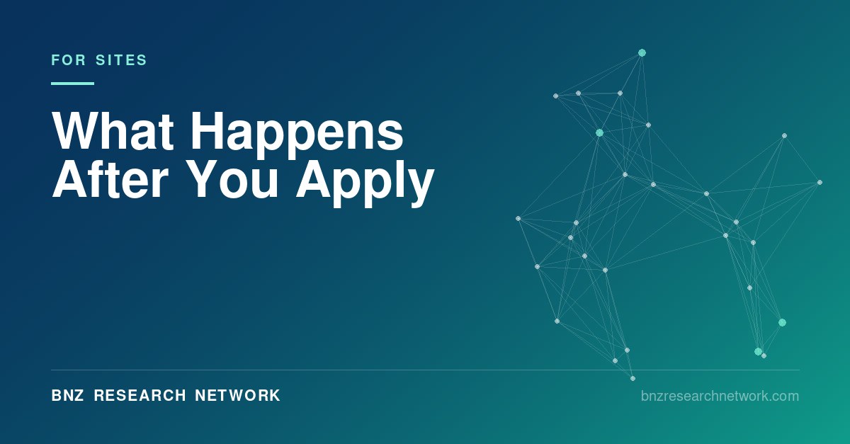 What Happens After You Apply — BNZ Research Network